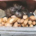 Ramadan 2026 : les Algériens gaspillent-ils moins de pain cette année ?