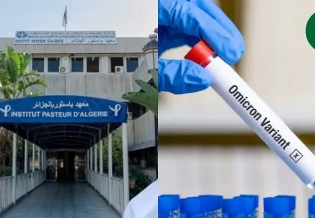 Variant Omicron en Algérie : bilan alarmant de l’institut pasteur