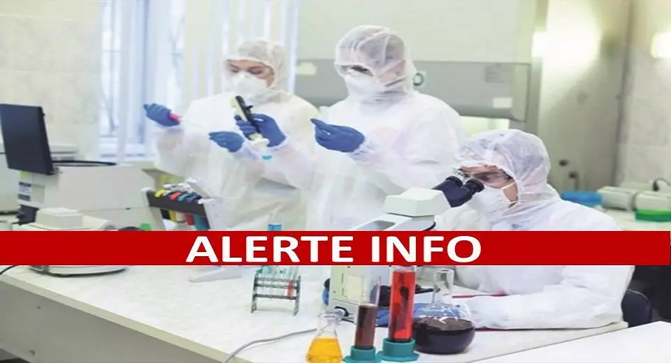 Coronavirus Algérie : Une hausse légére des contaminations ce 8 décembre