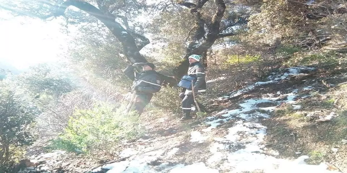 Blida : Aucune trace du randonneur disparu depuis plus de 4 jours