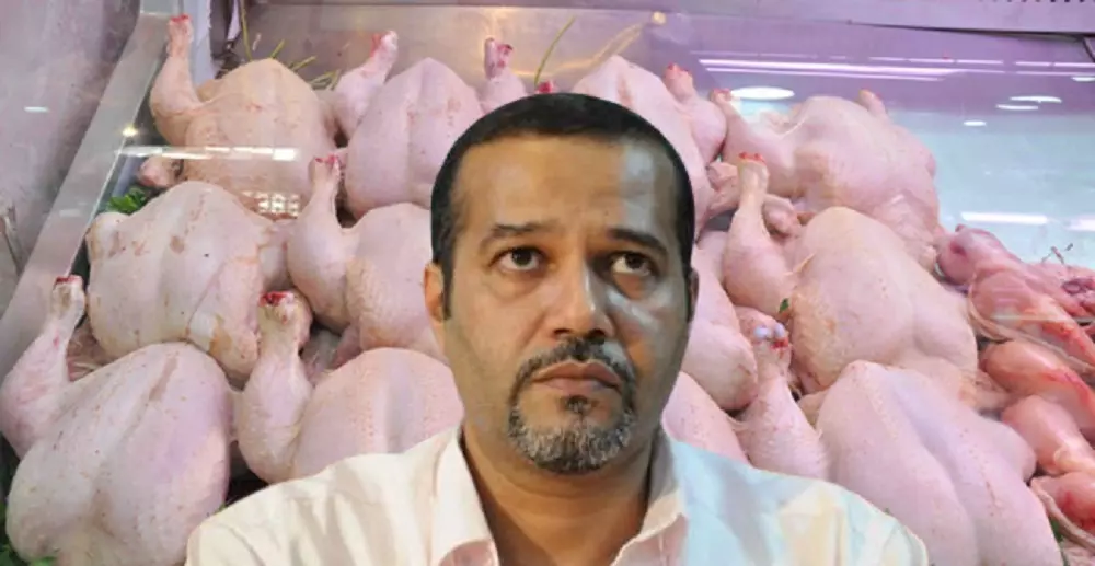 Un vaccin interdit est utilisé dans l&rsquo;élevage avicole, alerte l&rsquo;APOCE