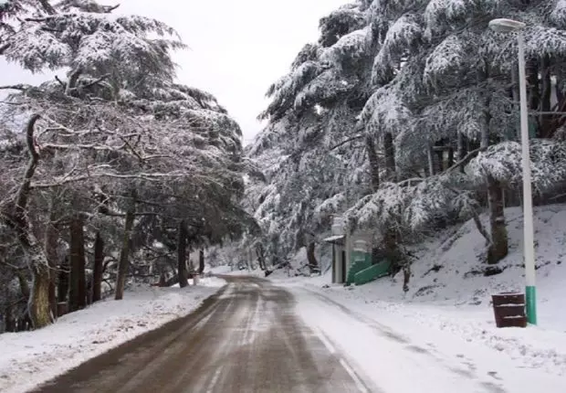 Blida : Un randonneur porté disparu dans la région montagneuse de Dhaya