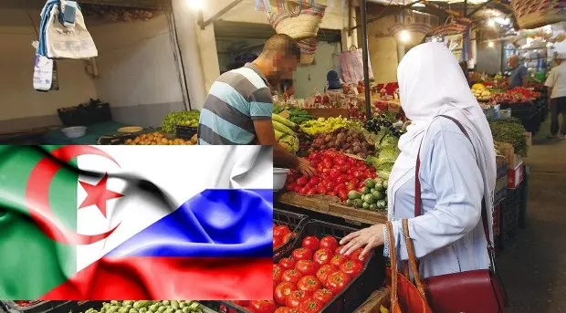 Vers l’exportation des fruits et légumes d’Algérie vers la Russie