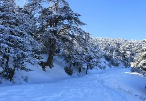 Alerte Météo : Les pluies et les chutes de neige se poursuivent dans plusieurs wilayas