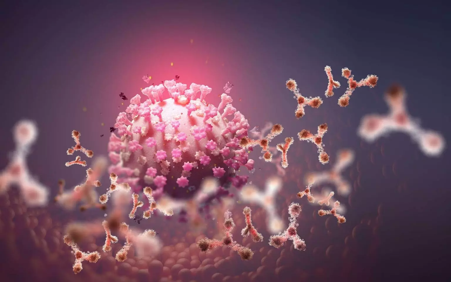 Nouvelle souche de Coronavirus : L’OMS rassure que « la situation n’est pas hors de contrôle »