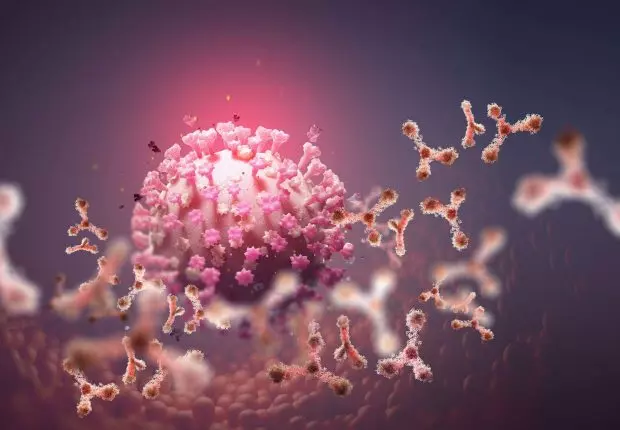 Nouvelle souche de Coronavirus : L’OMS rassure que « la situation n’est pas hors de contrôle » 