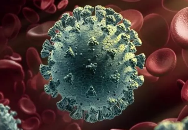 Que sait-on de la nouvelle souche de Coronavirus découverte au Royaume-Uni ?