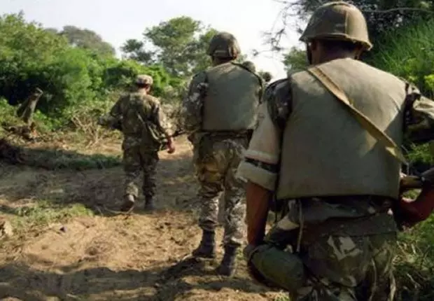 Tipaza : Élimination de 4 terroristes et décès de 2 militaires 