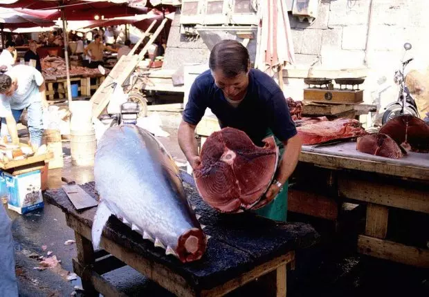 Approvisionnement prochain du marché national de thon rouge