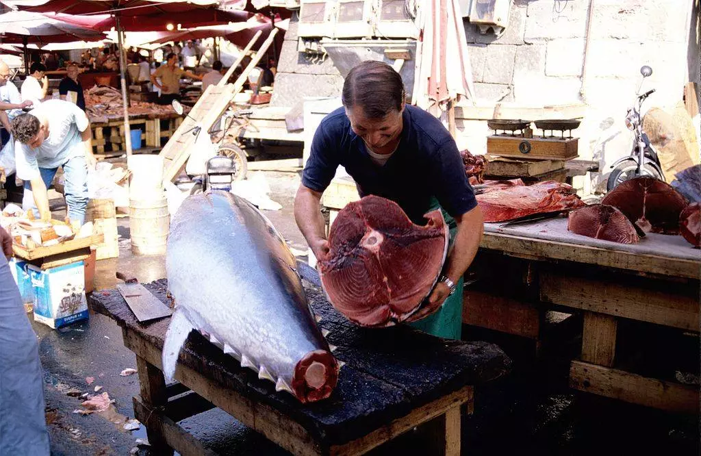 Approvisionnement prochain du marché national de thon rouge