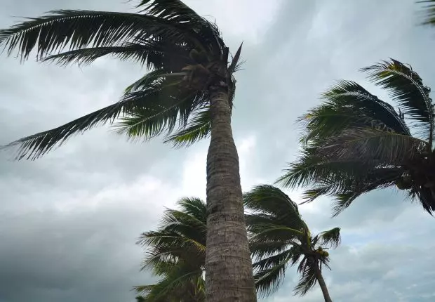 BMS : De violents vents souffleront sur plusieurs wilayas du pays