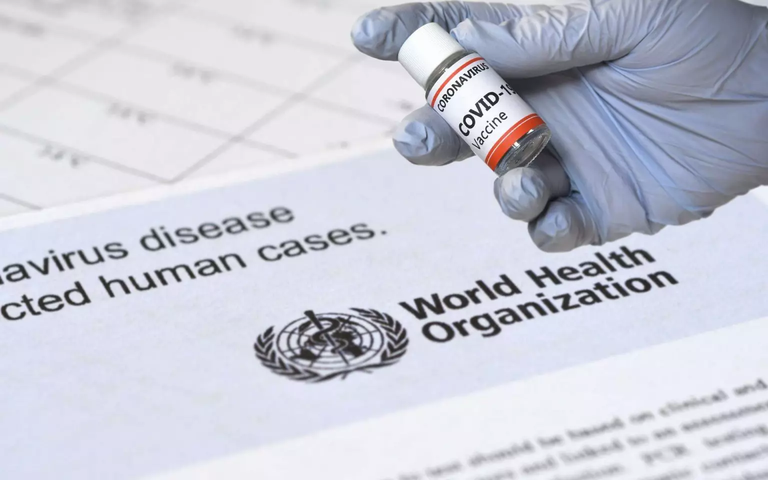 Origine du Covid-19 : Les prémieres conclusions de l’OMS