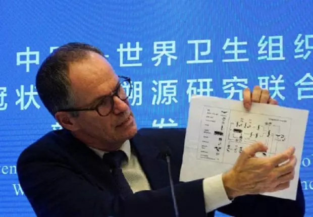 OMS : De nouvelles révélations sur l&rsquo;origine du coronavirus