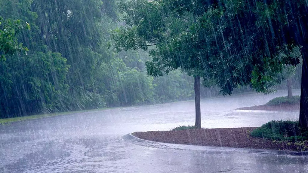 Météo Algérie : Pluies et vents violents sur plusieurs wilayas