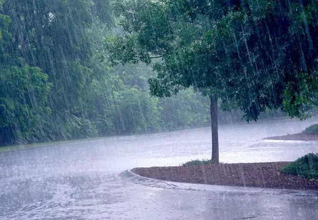 Météo Algérie : Pluies et vents violents sur plusieurs wilayas 