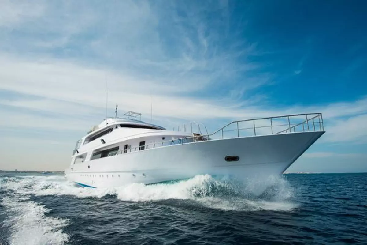 Yacht et test PCR : La nouvelle génération des Haragas Algériens