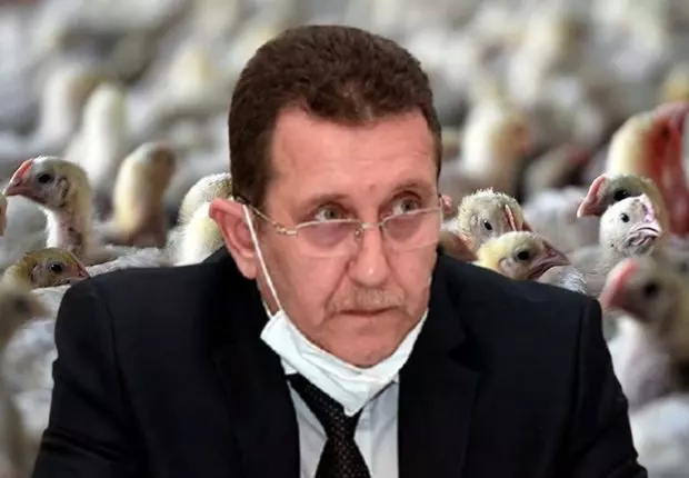 Grippe aviaire Algérie : les mesures du ministère de l’agriculture