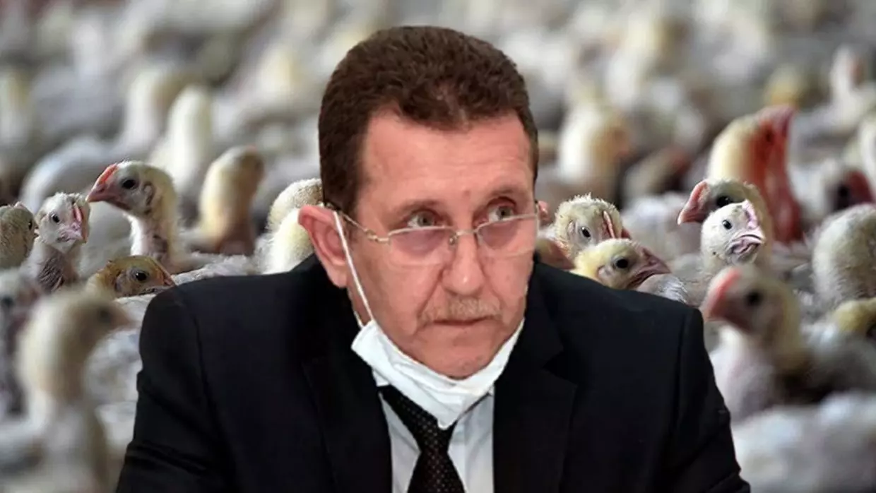 Grippe aviaire Algérie : les mesures du ministère de l’agriculture