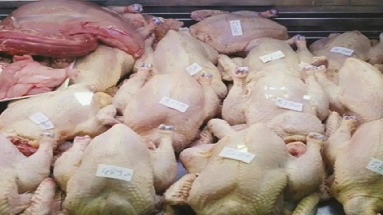 Importation d’intrants avicoles d’Espagne : vers une baisse des prix du poulet ?