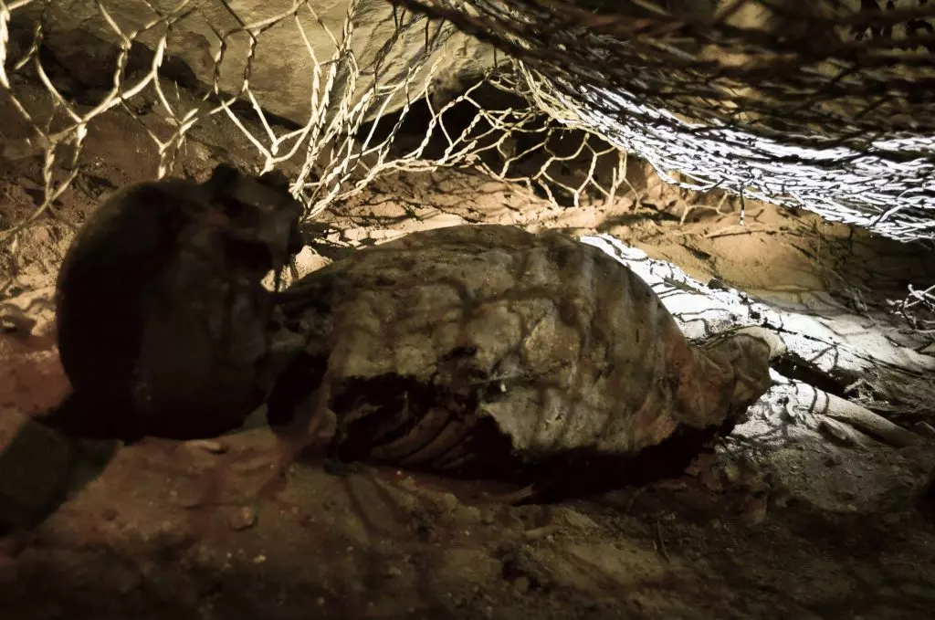 La grotte du macchabée à Tizi Ouzou : le mystère demeure entier