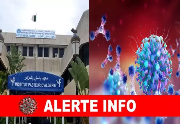 Covid-19 en Algérie : Les contaminations toujours à la hausse