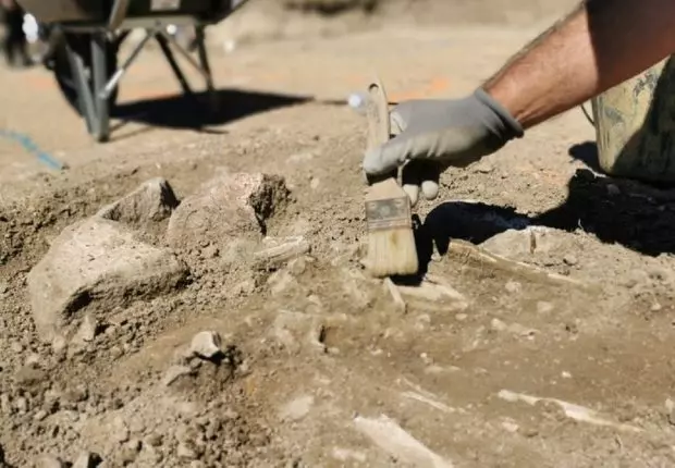 Tébessa : des ouvriers communaux découvrent une nécropole romaine