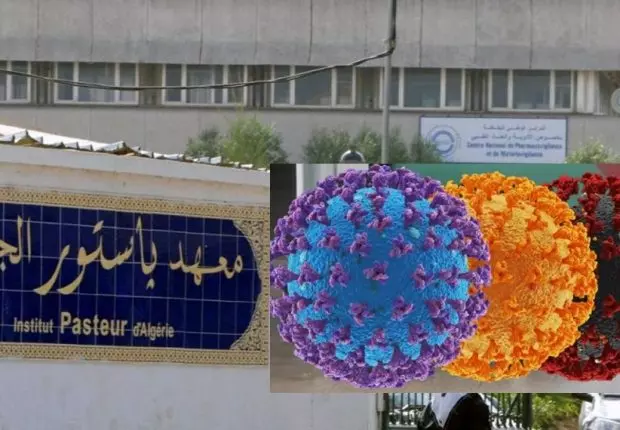 Institut Pasteur d’Algérie : nouveaux cas du variant Britannique