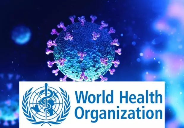 Origine du Covid-19 : l’OMS rend ses conclusions définitives