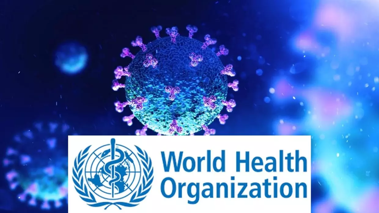 Origine du Covid-19 : l’OMS rend ses conclusions définitives