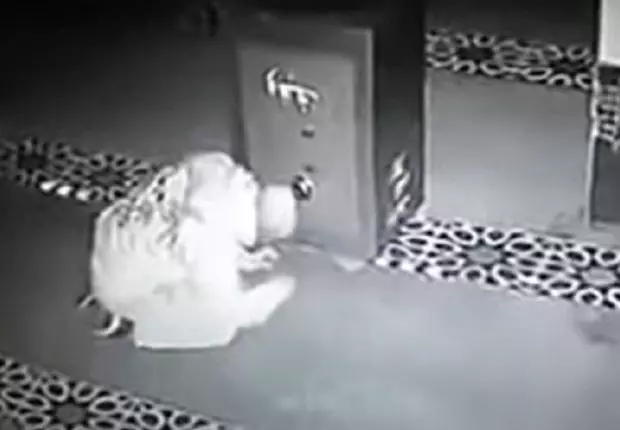 VIDEO. Un coffre de Zakat dévalisé dans une mosquée à Oran