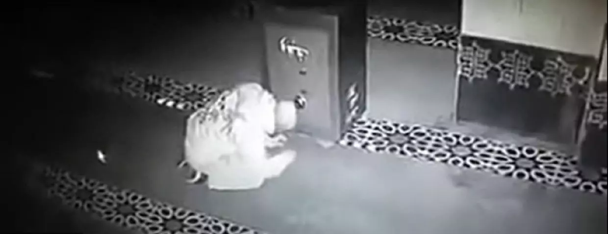 VIDEO. Un coffre de Zakat dévalisé dans une mosquée à Oran