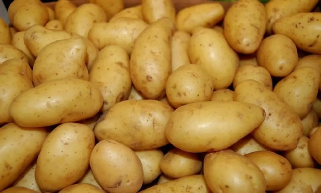 Flambée des prix de pomme de terre : Des mesures prises