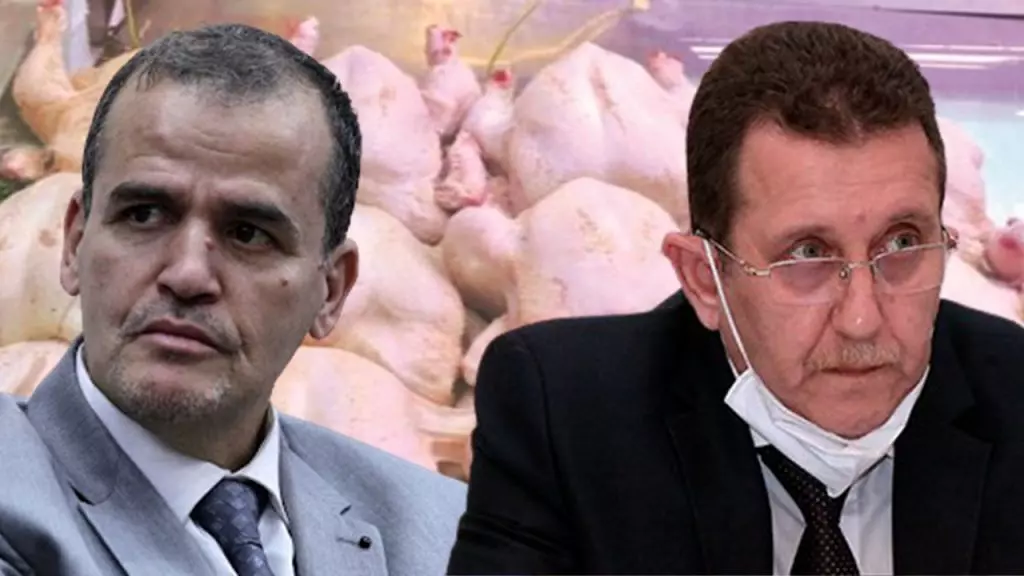 Prix du poulet : les promesses de Rezig et Hamdani