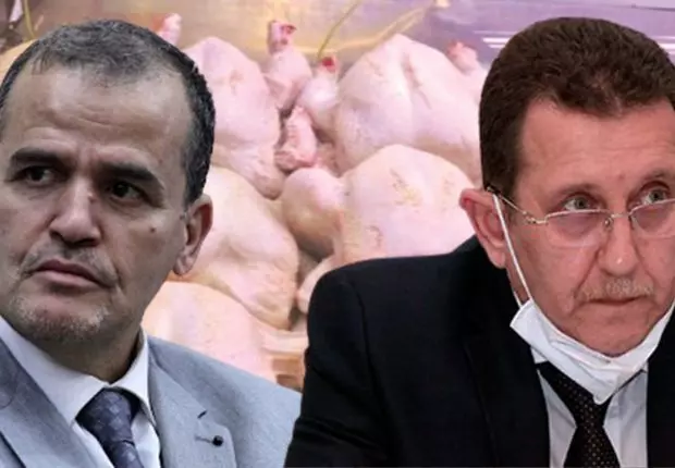 Prix du poulet : les promesses de Rezig et Hamdani  