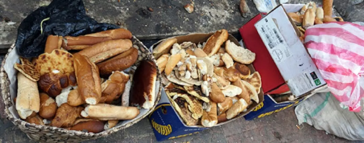 Gaspillage Alimentaire : un rapport de l’ONU épingle l’Algérie