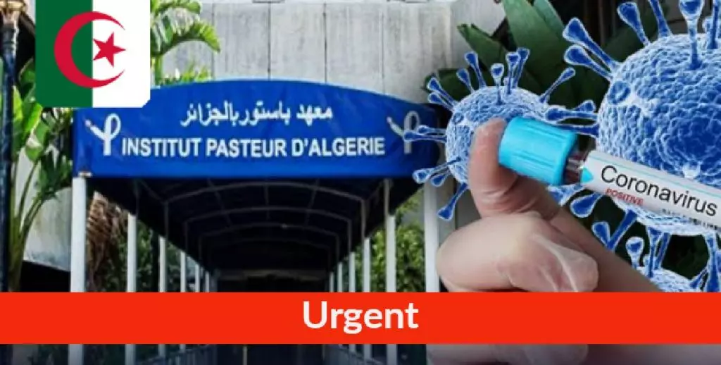 Covid-19 en Algérie : Le Variant Nigérian détecté dans 5 wilayas