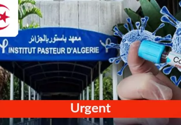 Covid-19 en Algérie : Le Variant Nigérian détecté dans 5 wilayas