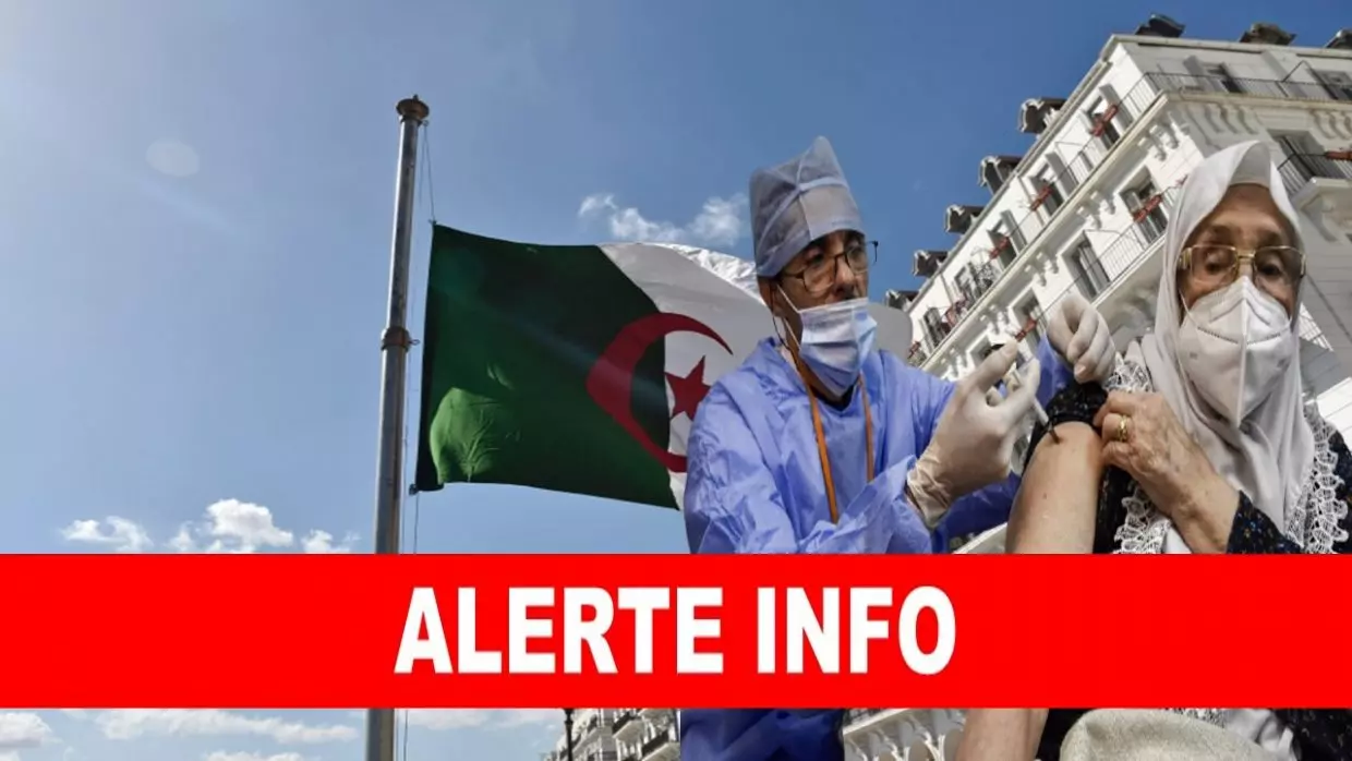 Covid-19 en Algérie : l’accalmie se confirme au bilan de ce 08 août