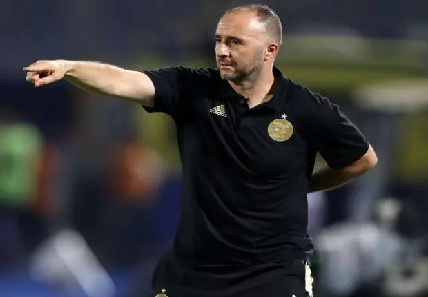 La coupe du monde, un « projet national » selon Belmadi