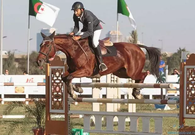 Fédération équestre : une élection et des accusations