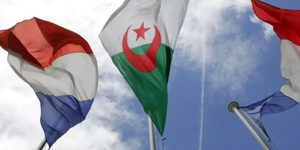 France : vers l’interdiction du drapeau Algérien lors des mariages