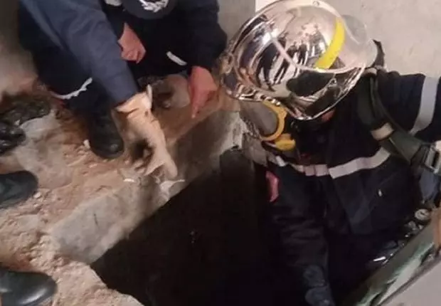 Drame à Oued Ghir : que s’est-il passé dans cette « prison 4 étoiles »?