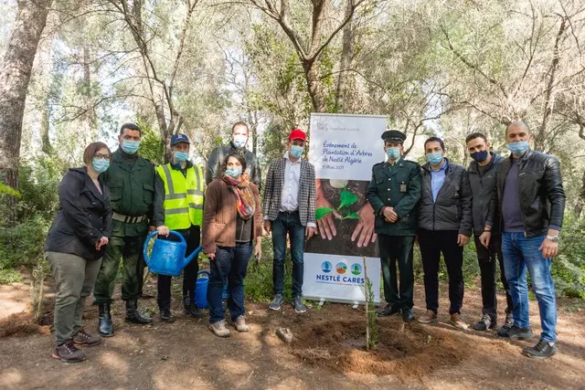 Nestlé organise une opération de reboisement