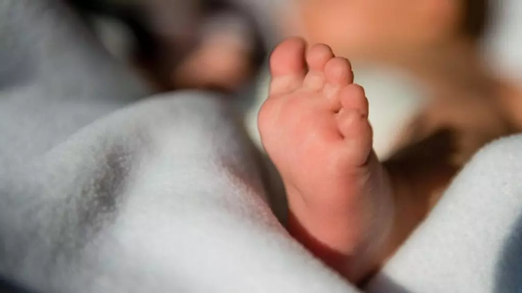Drame à Tizi Ouzou : un nouveau-né retrouvé mort dans une décharge