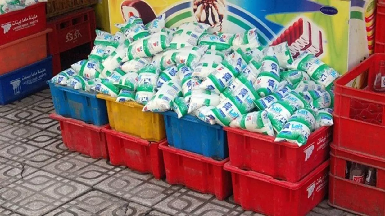 Lait en sachet subventionné : les producteurs « frôlent la faillite »