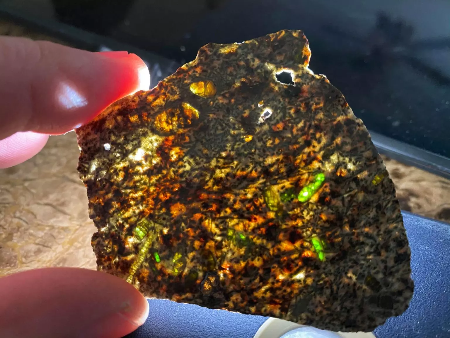 La météorite Erg Chech, trouvée en Algérie, au Guinness des records