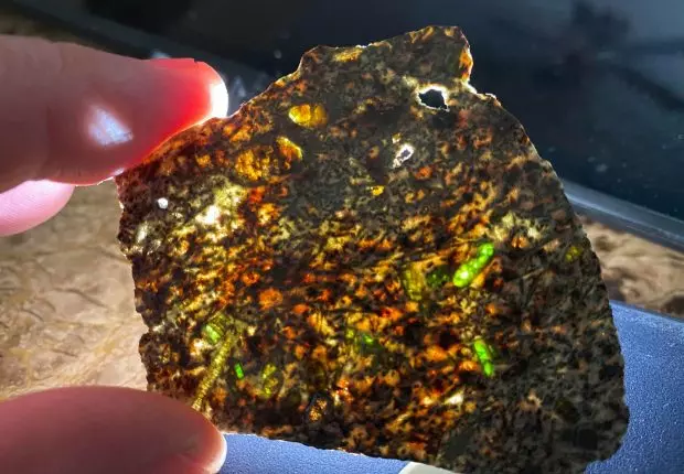 La météorite Erg Chech, trouvée en Algérie, au Guinness des records