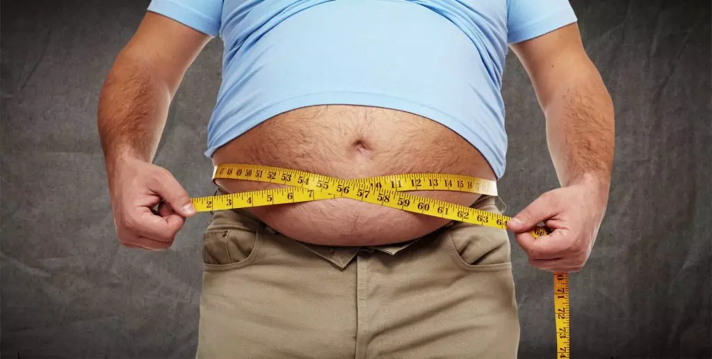 Sucre ou graisse – Quelle est la principale cause de l&rsquo;obésité ?