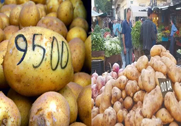 Kherroubi : « La pomme de terre à 45DA dans les prochains jours »