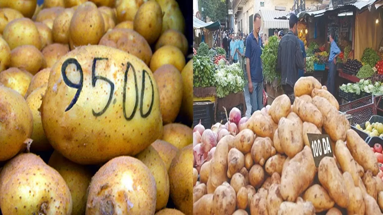 Kherroubi : « La pomme de terre à 45DA dans les prochains jours »